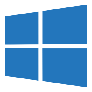 Windows 10 / 11